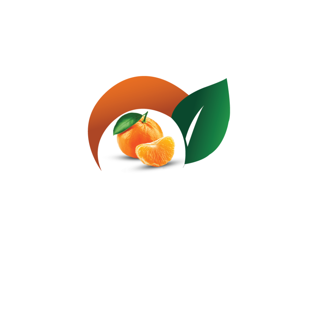 fresh focus foodstuff brand logo