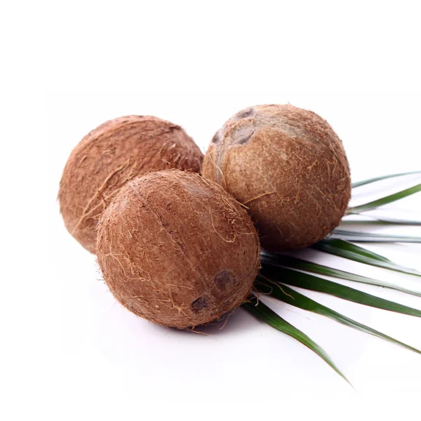 Coconut Dry Whole Coconut