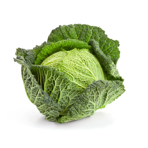 Savoy Cabbage Dubai | Fresh Premium Savoy Cabbage Supplier