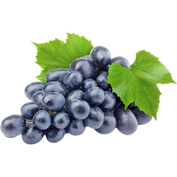 Black Grapes Dubai | Fresh Black Grapes Supplier