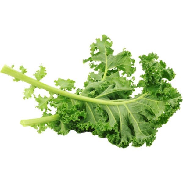 KALE