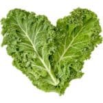 KALE - Image 2