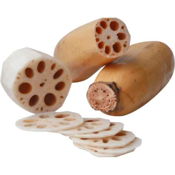 LOTUS ROOT