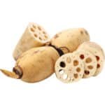 LOTUS ROOT - Image 2