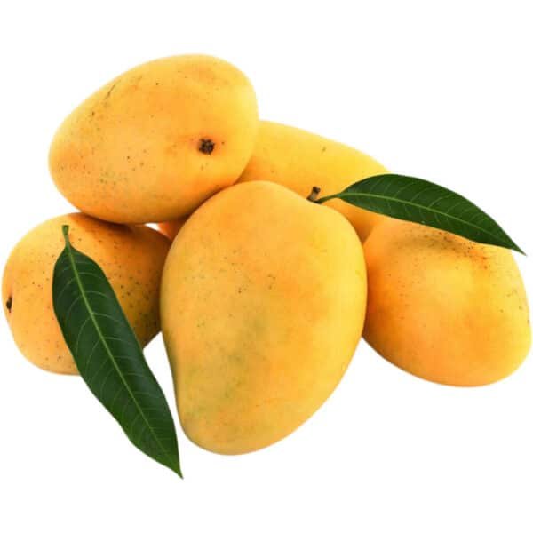 Mango Pakistan