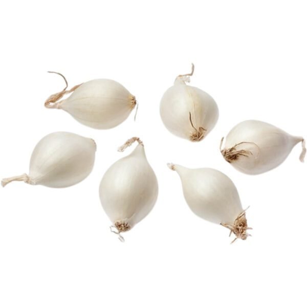 PEARL ONION WHITE