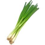 SPRING ONION - Image 2