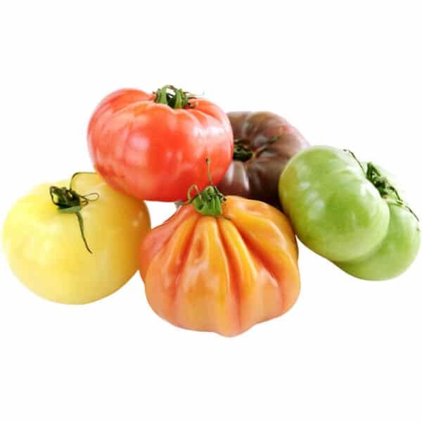 Heirloom Tomato Dubai | Fresh Premium Heirloom Tomatoes Supplier