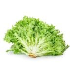 Frisée Green Lettuce