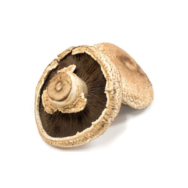 Portabella Mushroom