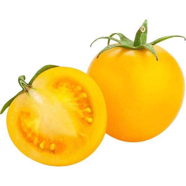 TOMATO CHERRY YELLOW
