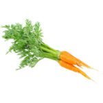 CARROTS WITH LEAVES