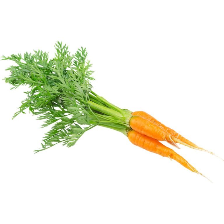 baby carrot with leaf freshleaf dubai uae img03