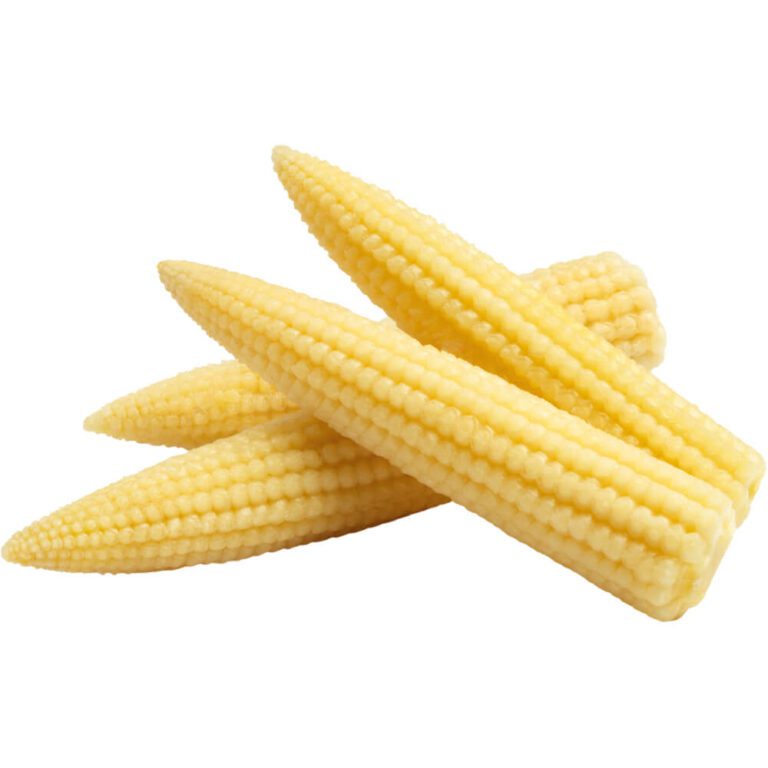 baby corn freshleaf dubai uae img01