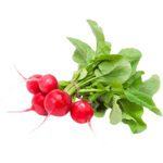 Herbs Red Radish Round Dubai
