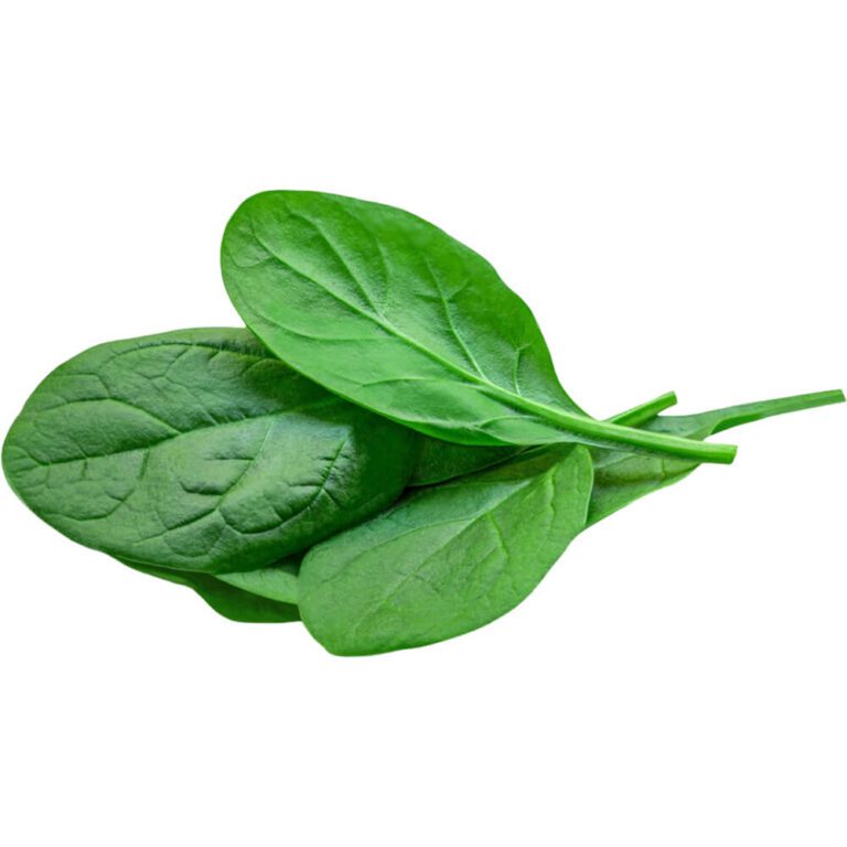 baby spinach freshleaf dubai uae img01
