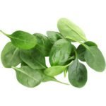 HERBS BABY SPINACH - Image 2