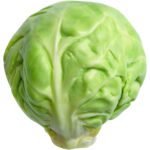 BRUSSEL SPROUT - Image 2
