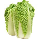 Chinese Cabbage Dubai