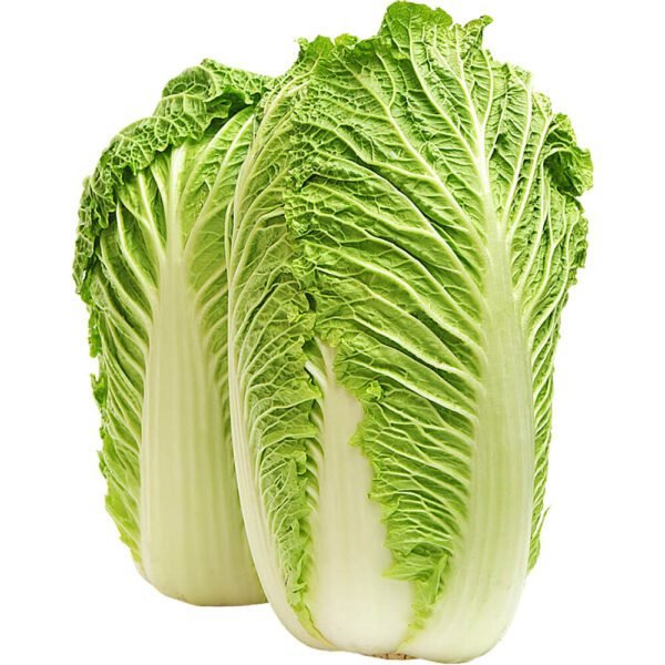 Chinese Cabbage Dubai