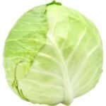 White Round Cabbage Dubai | Fresh Premium Cabbage Supplier - Image 2