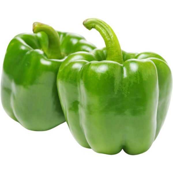 Green Capsicum Dubai | Fresh Premium Bell Pepper Supplier
