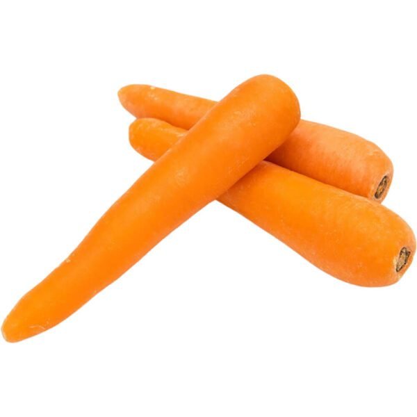 CARROT REGULAR