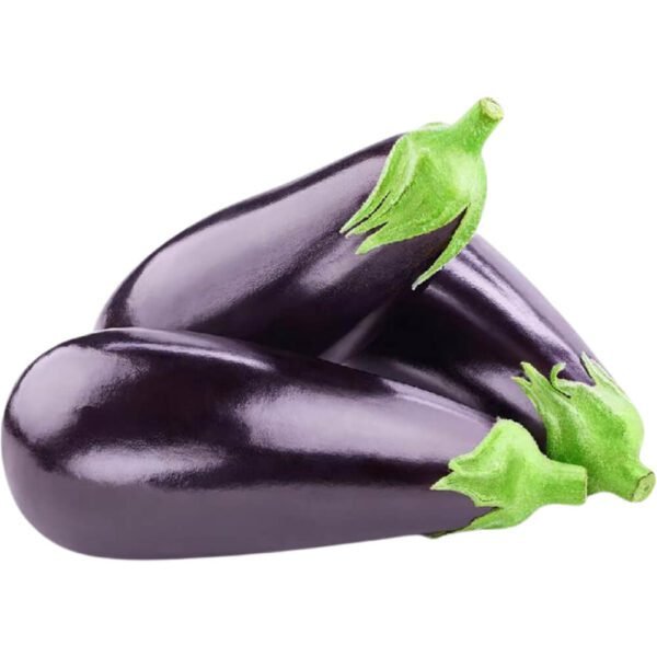 Eggplant Big Dubai | Fresh Premium Large Eggplants Supplier