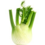Fennel Dubai | Fresh Premium Fennel Supplier