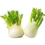 Fennel Dubai | Fresh Premium Fennel Supplier - Image 3