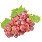 GRAPES RED GLOBE