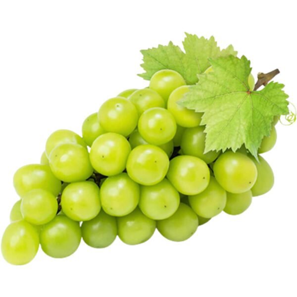 White Seedless Grapes Dubai | Fresh Green Grapes Supplier