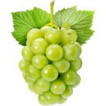 White Seedless Grapes Dubai | Fresh Green Grapes Supplier - Image 2