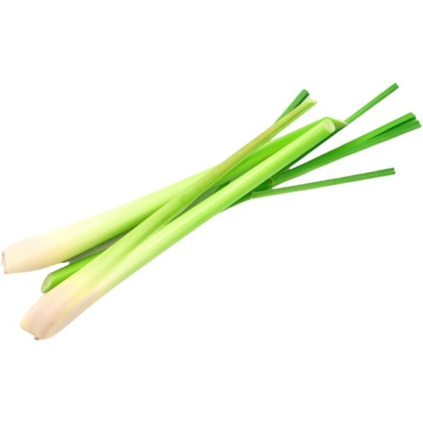 LEMON GRASS