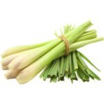 LEMON GRASS - Image 3