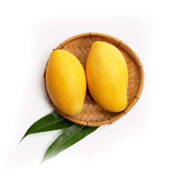Ripe Yellow Mango Dubai | Fresh  Mango Supplier