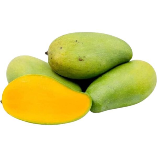 Mango Egypt