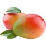 Mango Yemen