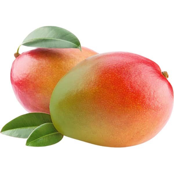 Mango Yemen