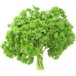 English Parsley Herbs Dubai | Fresh Flat Leaf Parsley Supplier