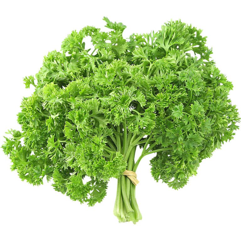 parsley english freshleaf dubai uae img01