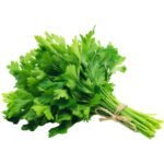 PARSLEY