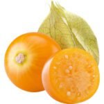 PHYSALIS PP - Image 2