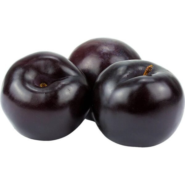 PLUMS BLACK / RED
