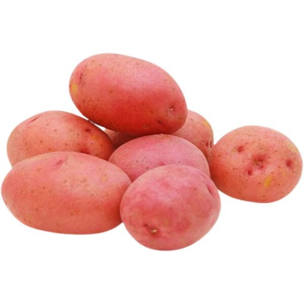 Red Potato Dubai | Fresh Red Potatoes Supplier