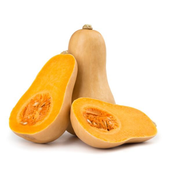 PUMPKIN BUTTERNUT