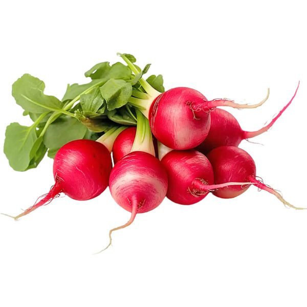 RADISH RED ROUND PACK