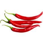 Chilli Hot Bird Red