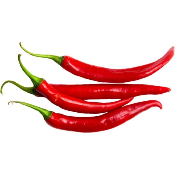 Chilli Hot Bird Red