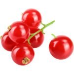 Red Currant Pack Dubai | Fresh Premium Red Currants Supplier - Image 3